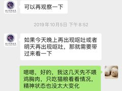 -瑞派福兴宠物医院犬猫全科·骨科·中西医结合(河东店)