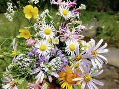 -贵阳市花溪国家城市湿地公园