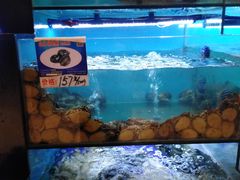 -南海渔家•海鲜•正宗海南菜(海棠湾店)