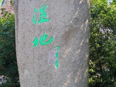 -溱湖国家湿地公园