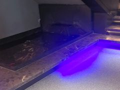 -杨氏青龙虾·羊蝎子(金盛路总店)