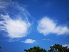 -北京鹫峰国家森林公园