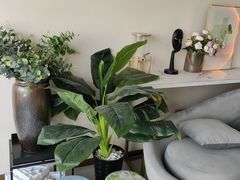 -星美科技皮肤管理中心(国贸店)