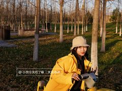 -汉长安城未央宫国家考古遗址公园