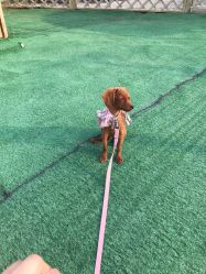 -萌宠亲子动物乐园(槐房万达店)