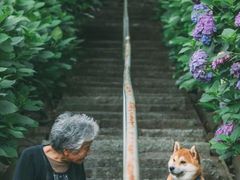 -杭州君悦酒店