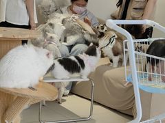 -怪兽屋·羊驼·猫咖·狗咖(俊华广场店)