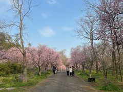 -上海海湾国家森林公园