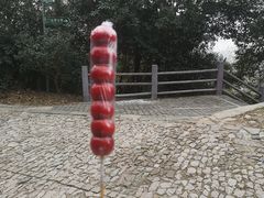 -紫金山山顶公园