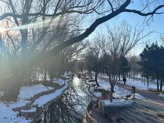 -北坞公园