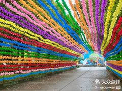 -上海都市菜园