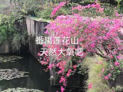 -广州莲花山旅游区