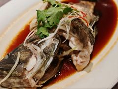 -百富源·海鲜辽菜(浑河堡店)