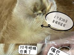 -纳吉亚猫专科动物诊疗中心(蒋宅口分院)