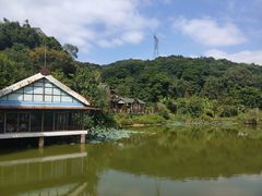-桃园美食(水库路店)