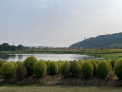-径山花海