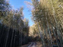 -黄公望隐居地