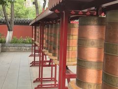 -护国法轮寺