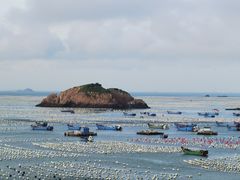 -枸杞岛