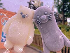 -上海海昌海洋公园