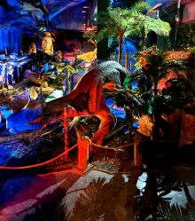 -恐龙探索乐园(磁器口店)