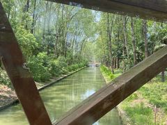 -合肥滨湖国家森林公园