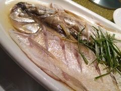 -天福苑(崇宁路店)