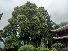 -峨眉山风景名胜区