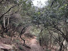 -虞山风景区