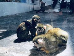 -西安秦岭野生动物园