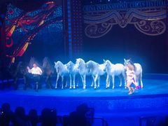 -珠海横琴长隆《卡卡虎奇遇记》