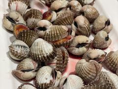 血蛤-华盛丰温州大排档(东三环南路店)