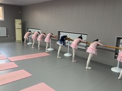 -蒲公英舞蹈艺术中心(促进路校区)