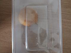 -大鼓米线(浦东长泰店)