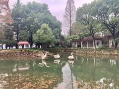 -中共上海市委党校 上海行政学院