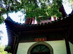 -上海佘山国家森林公园天马山园