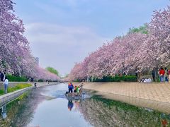 -海棠花溪(元大都城垣遗址公园)