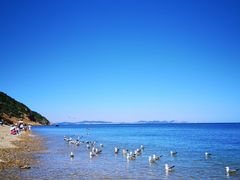 -棒棰岛宾馆景区