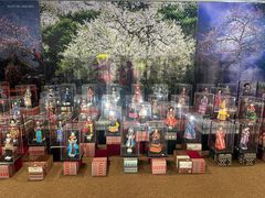 -河内内排国际机场