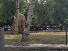 -石家庄市动物园