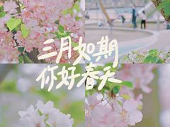-桂溪生态公园