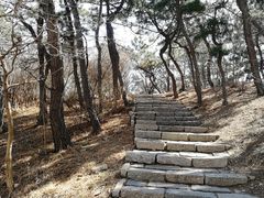 -浮山香苑