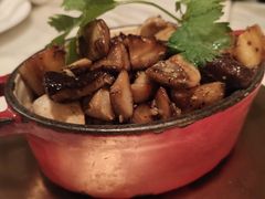 新鲜炒蘑菇-the rug 飞毯 (朝阳公园店)