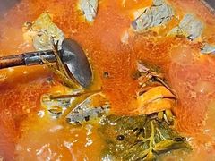 酸汤鱼-毛辣果·酸