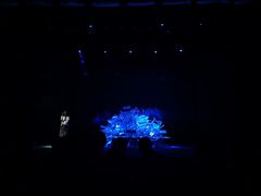 -陕北民歌大舞台