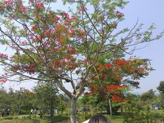 -中国科学院西双版纳热带植物园