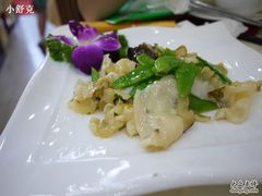螺肉-海岛渔村大酒店(云霄路店)