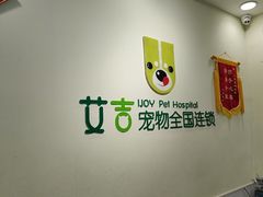 -艾吉宠物医院·疑难杂症转诊中心·猫友好(碧江路院)