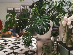 -一尺花园(安和花园店)