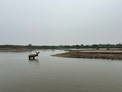 -宁波杭州湾国家湿地公园
